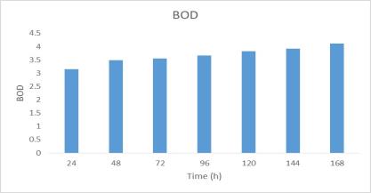 Impact of sewage water on behavioral response and oxygen consumption of fish Clarius batrachus