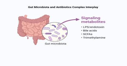 Understanding Gut Microbiota and Antibiotics Complex Interplay and Clinical Implications