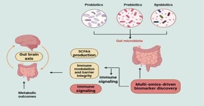 Recent Advancement in Understanding the Interaction Between Probiotics Prebiotics and the Gut Microbiota